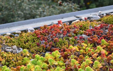 the cost of Ilchester green roof installation